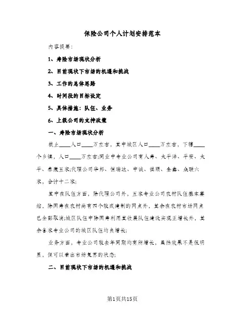 2024年保险公司个人计划安排范本（4篇）