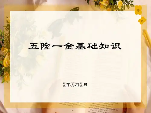 五险一金基础知识培训PPT