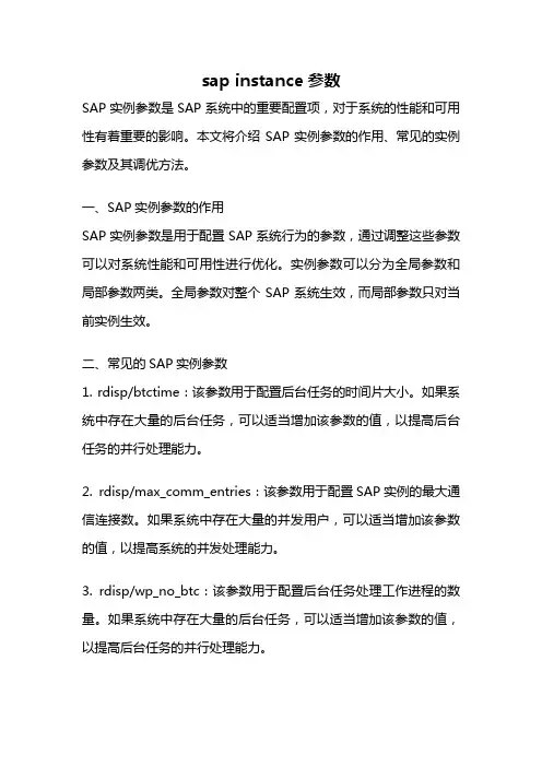 sap instance参数