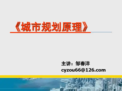 第4章城市规划的价值观介绍
