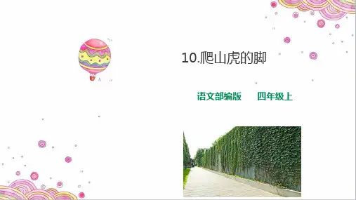 小学语文四年级上册第三单元《爬山虎的脚》教学课件
