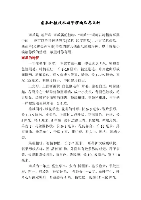 南瓜种植技术与管理南瓜怎么种