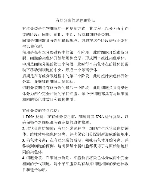 有丝分裂的过程和特点