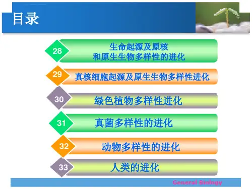 真核细胞起源及原生生物多样性的进化ppt课件