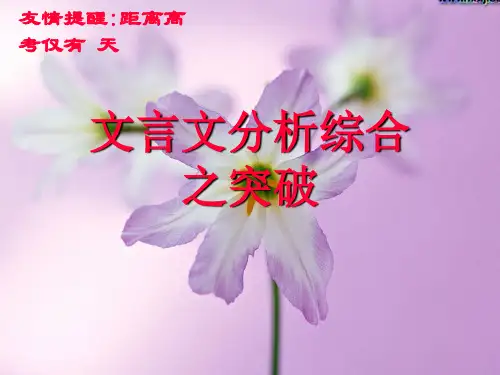 文言文分析综合之突破技巧