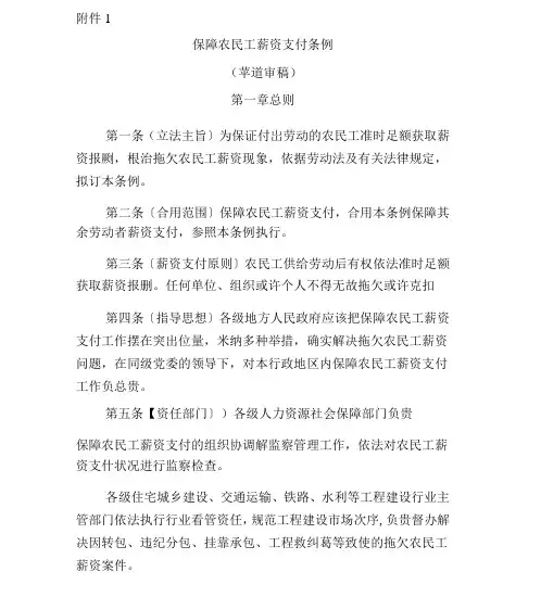 保障农民工工资支付条例
