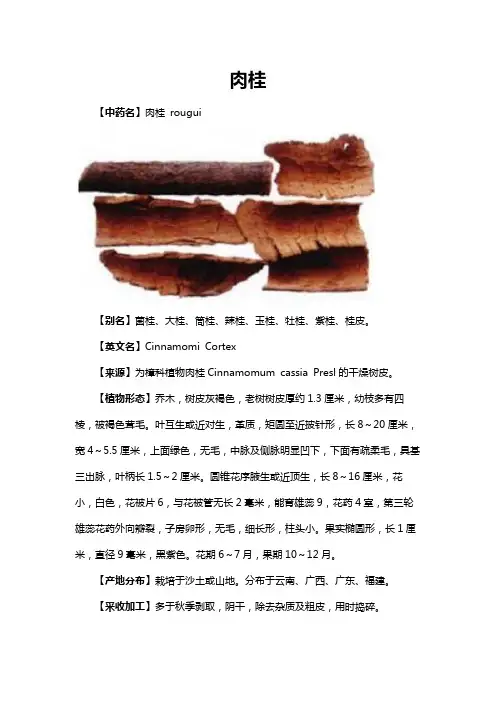 肉桂