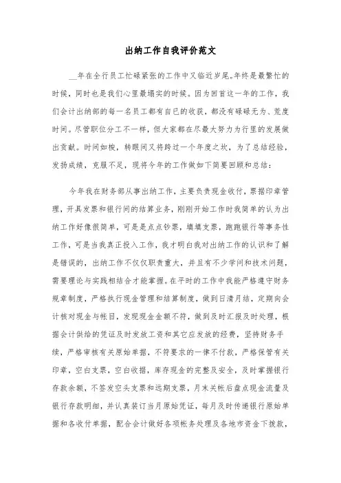 出纳工作自我评价范文（五篇）