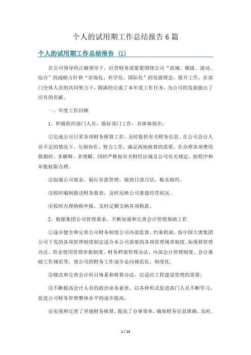 个人的试用期工作总结报告6篇