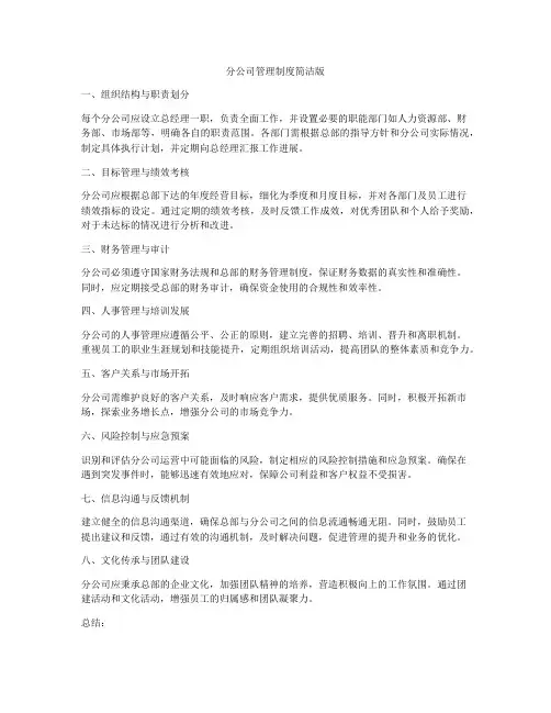 分公司管理制度简洁版