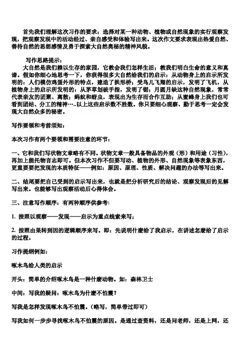 《大自然的启示》写作指导_四年级
