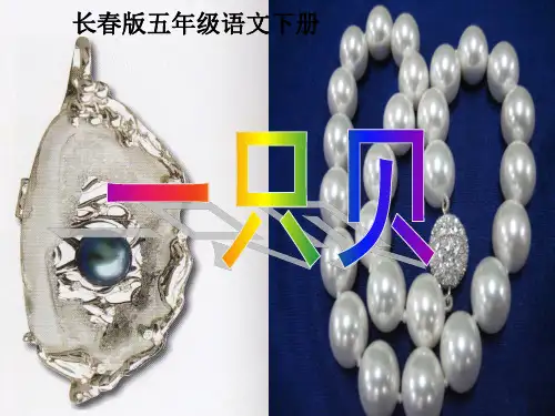 五年级语文下册 一只贝 1课件 长春版