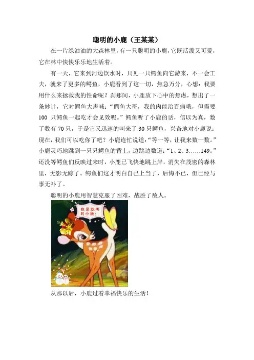 聪明的小鹿