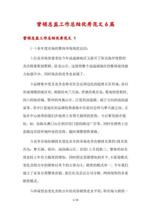 营销总监工作总结优秀范文6篇