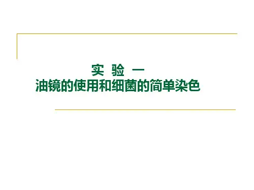 01 油镜的使用和细菌的简单染色法