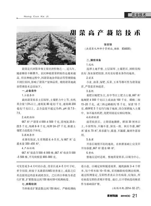 甜菜高产栽培技术