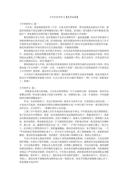 小学升初中作文【优秀6篇】
