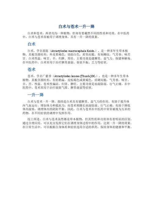 白术与苍术一升一降