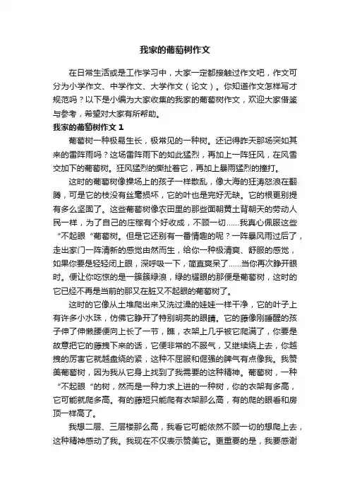 我家的葡萄树作文7篇