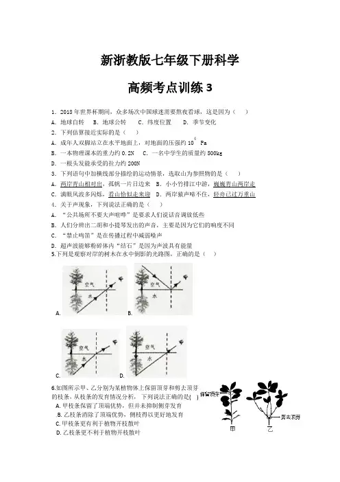 新浙教版科学七年级下册高频考点练习 03 (含答案)