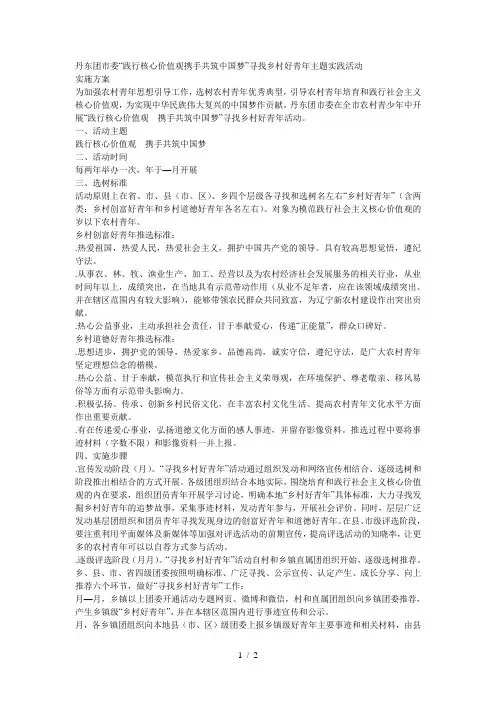 团市委践行核心价值观携手共筑中国梦寻找乡村好青