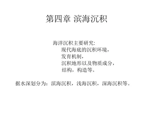 第四章 滨海沉积 海洋地质学 教学课件
