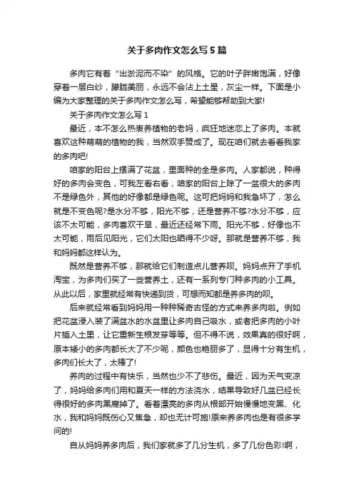 关于多肉作文怎么写5篇