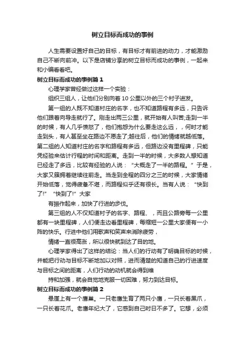 树立目标而成功的事例