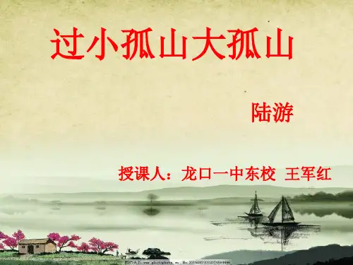 人教版选修“中国古代诗歌散文鉴赏”第四单元第1课《过小孤山大孤山》教学课件 (共20张PPT)