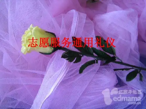 志愿者通用礼仪