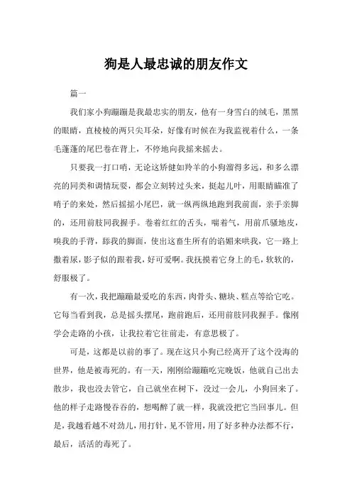 狗是人最忠诚的朋友作文