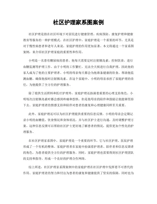 社区护理家系图案例
