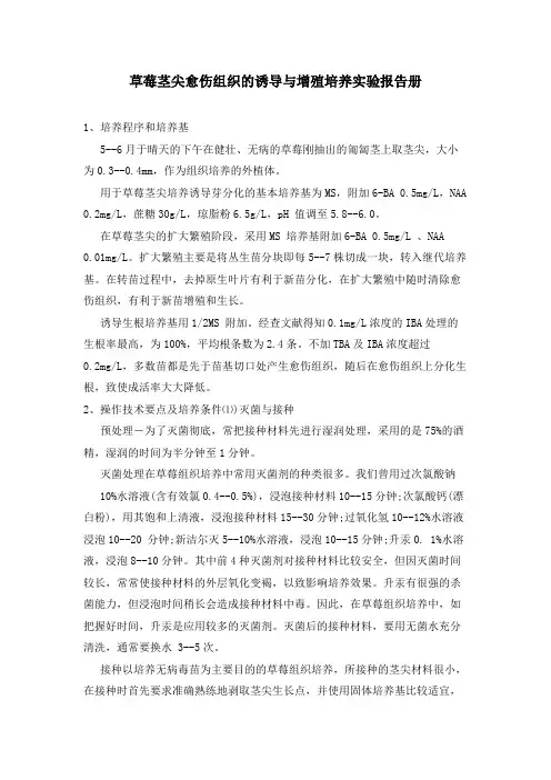 草莓茎尖愈伤组织的诱导与增殖培养实验报告册