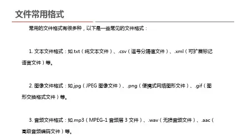 文件常用格式