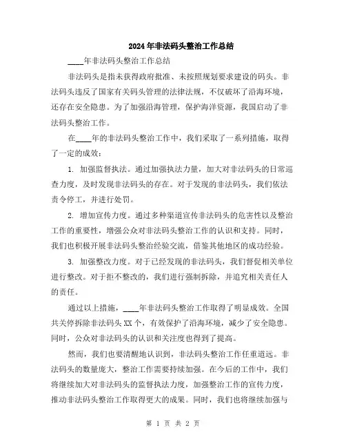 2024年非法码头整治工作总结