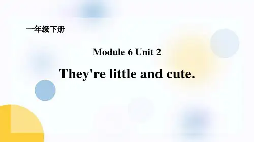 外研版一年级英语下册 (They’re little and cute)教育教学课件