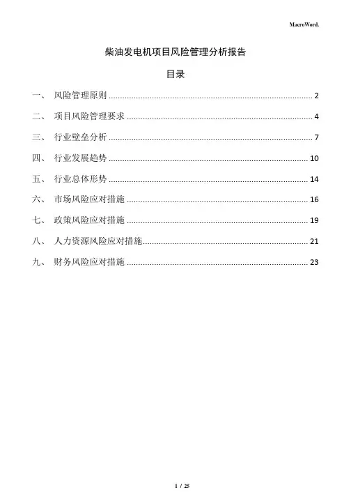 柴油发电机项目风险管理分析报告(参考模板)