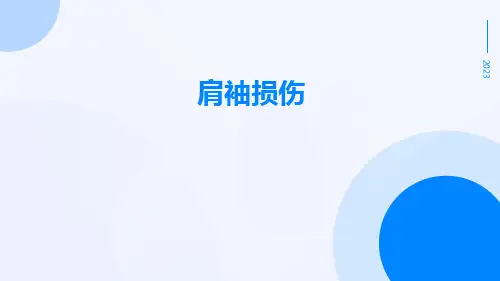 肩袖损伤-精品文档
