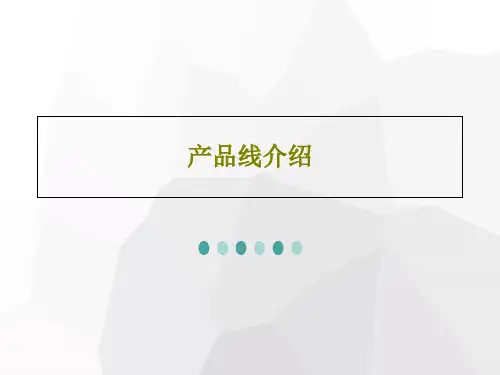 产品线介绍26页PPT