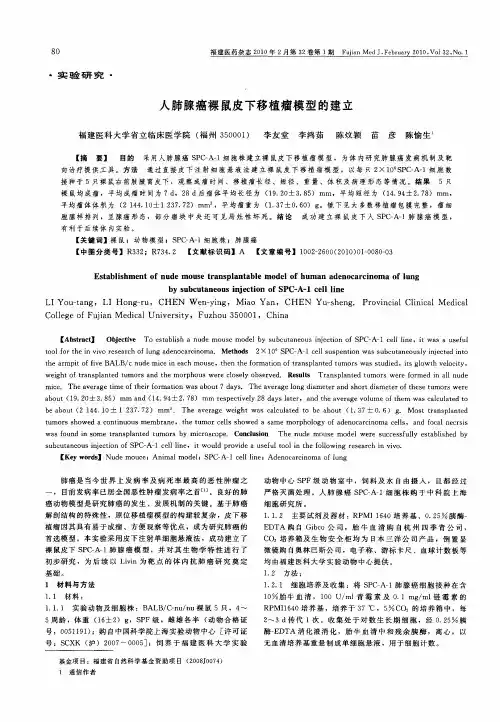人肺腺癌裸鼠皮下移植瘤模型的建立