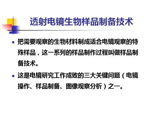 透射电镜样品制备