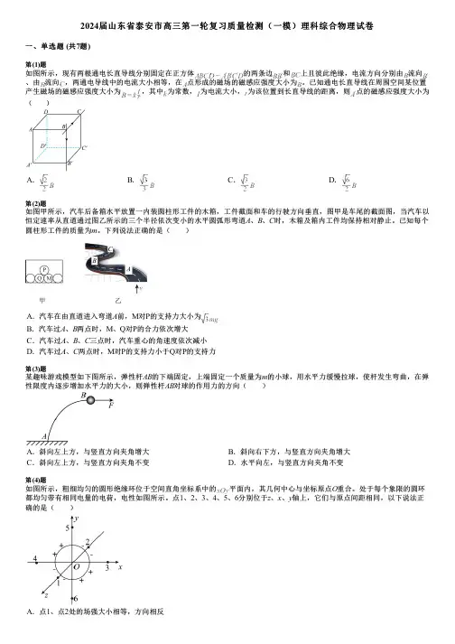 2024届山东省泰安市高三第一轮复习质量检测(一模)理科综合物理试卷