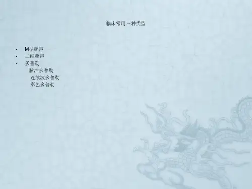 超 声 心 动 图 结 果 解