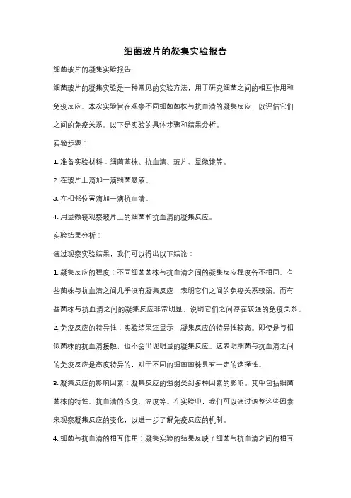 细菌玻片的凝集实验报告