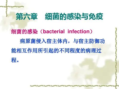 第六七章变形杆菌属