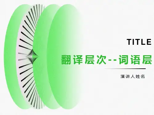 翻译层次词语层