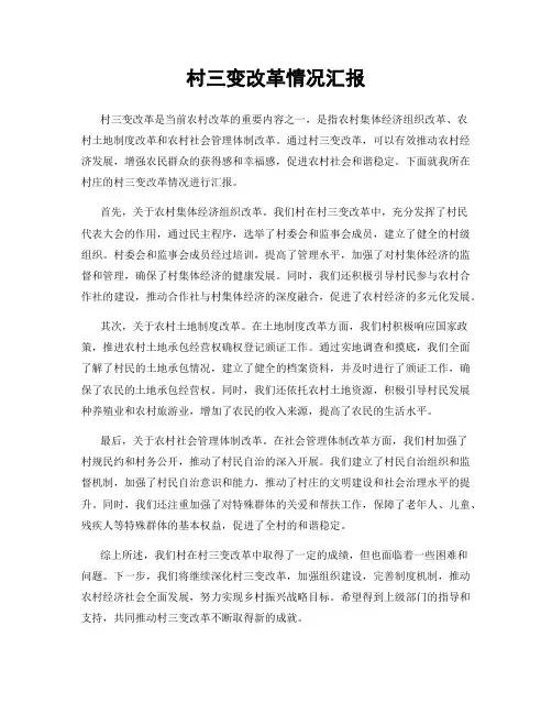 村三变改革情况汇报