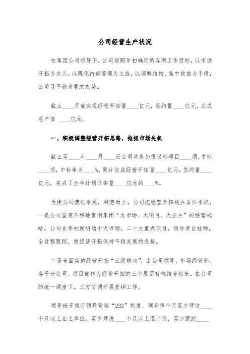 公司经营生产状况(四篇)