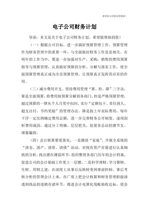 电子公司财务计划