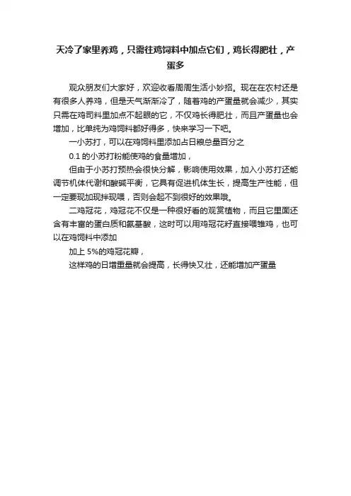 天冷了家里养鸡，只需往鸡饲料中加点它们，鸡长得肥壮，产蛋多